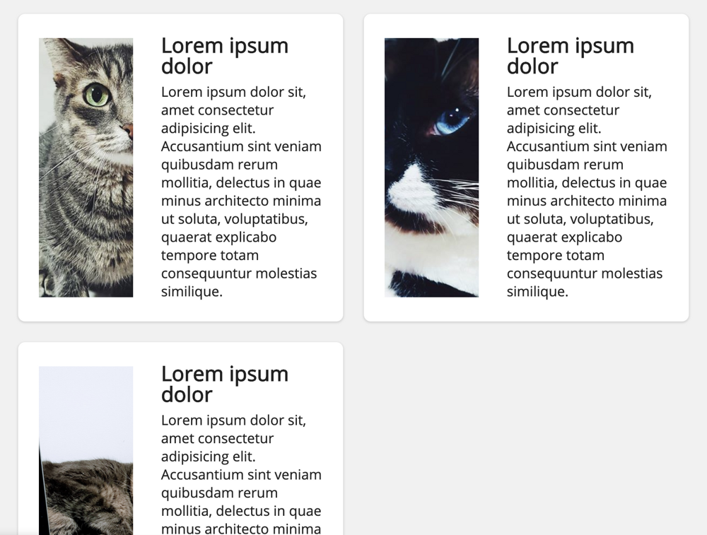 CSS Grid - Autofit 2 columns