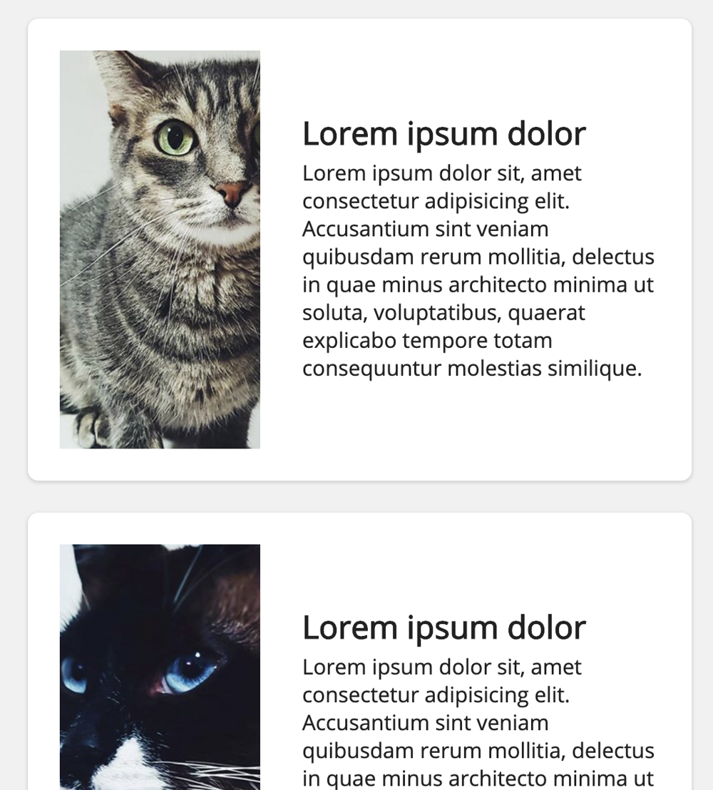 CSS Grid - Autofit 1 column