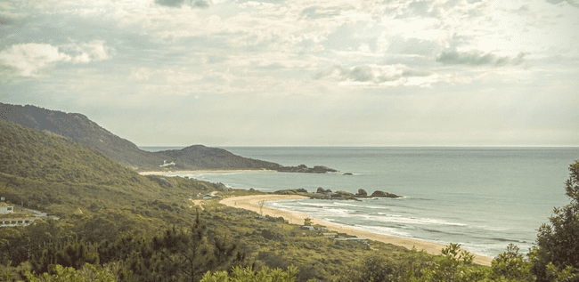 Praia Mole em Floripa